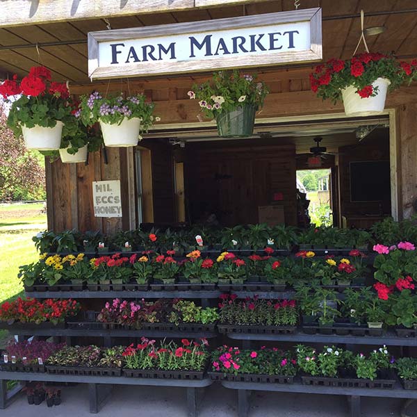 Diehl Farms Farm Market