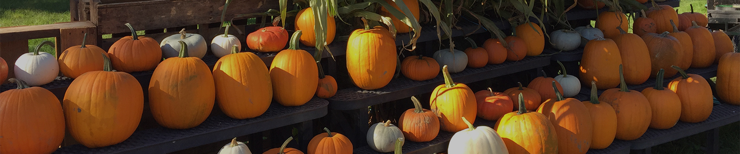 Fall Products Sullivan County, NY | Diehl Farms Farm Market
